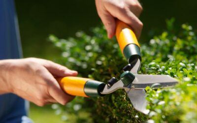 Entretien des espaces verts à Charolles : prenez soin de vos extérieurs