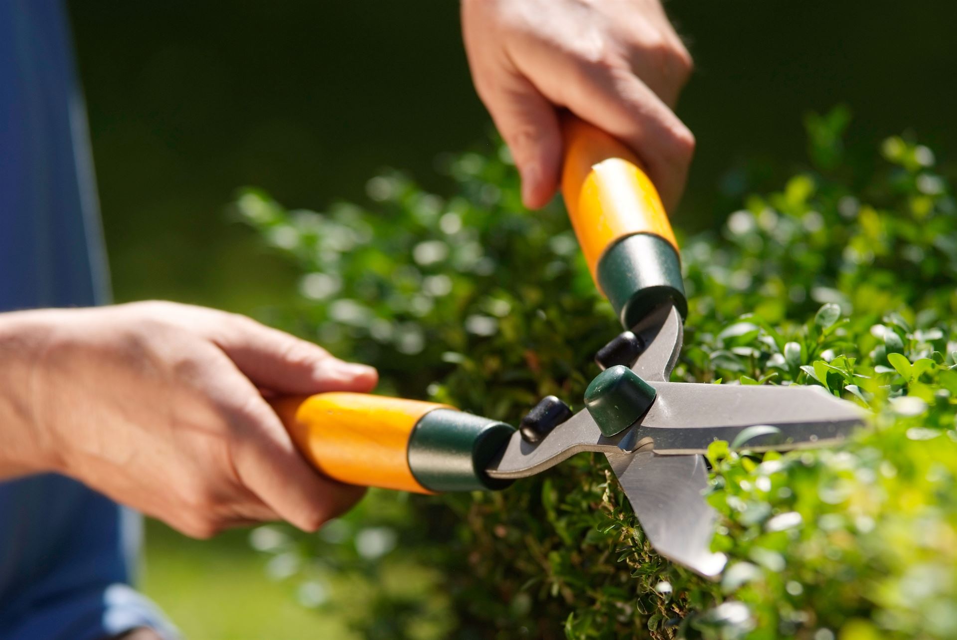 Entretien des espaces verts à Charolles